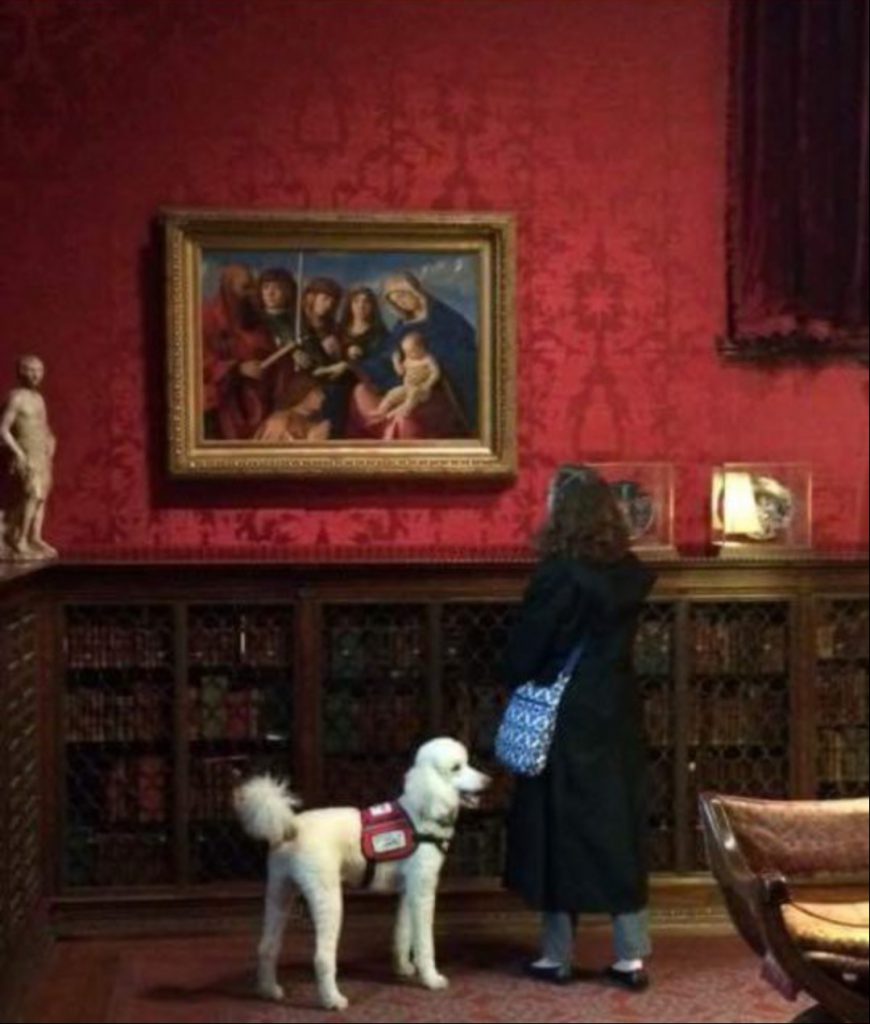 Service dog with owner in Morgan Library