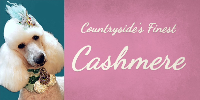 Countryside's Finest Cashmere titlecard