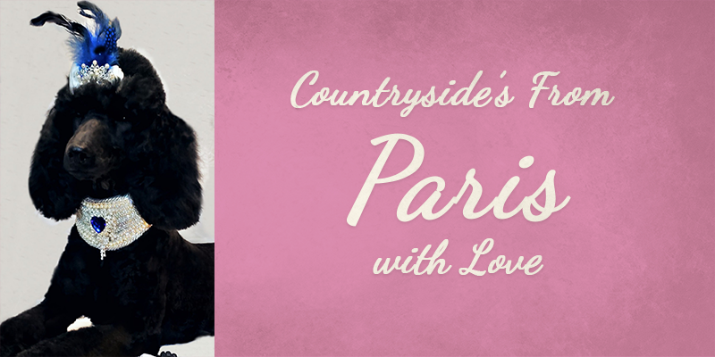 Countryside From Paris with Love's Titlecard