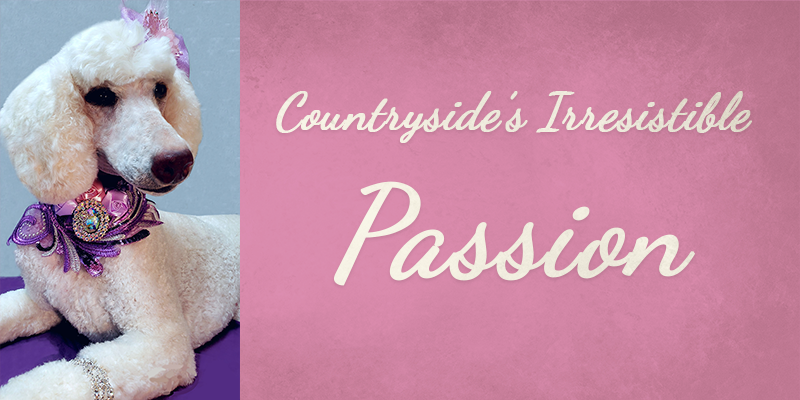 Countryside's Irresistible Passion's Titlecard